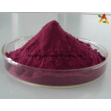 Natural 25% Anthocyanidin From Elderberry Extract